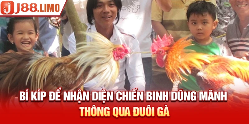 Cách Chọn Gà Đá - Các Bí Kíp Tìm Ra Thần Kê Từ Cao Thủ