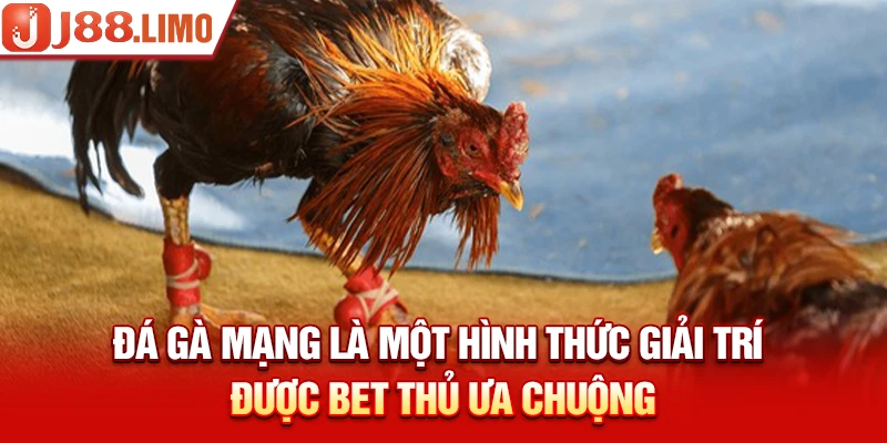 Đá gà mạng là một hình thức giải trí được bet thủ ưa chuộng