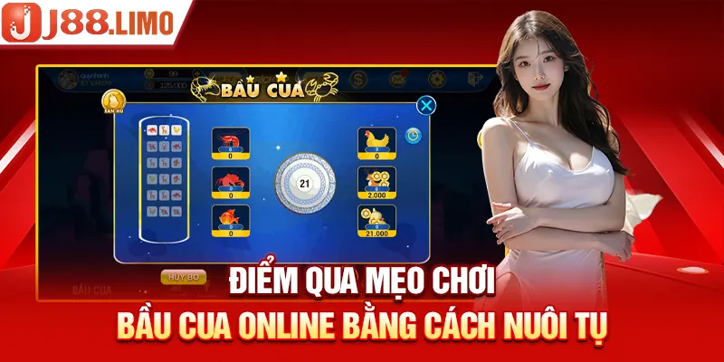 Điểm qua mẹo chơi Bầu Cua online bằng cách nuôi tụ