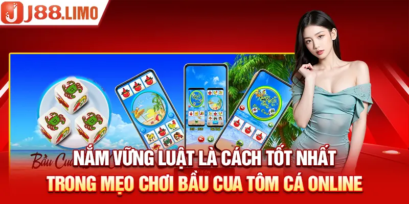 Nắm vững luật là cách tốt nhất trong mẹo chơi Bầu Cua Tôm Cá online