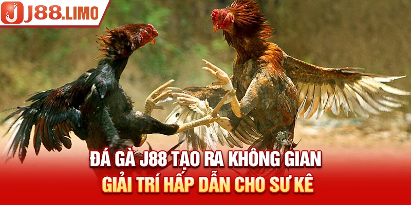 Đá Gà J88 tạo ra không gian giải trí hấp dẫn cho sư kê